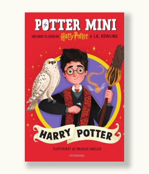 Harry Potter mini